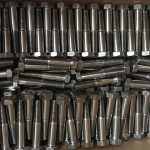 зургаан өнцөгт толгой эрэг